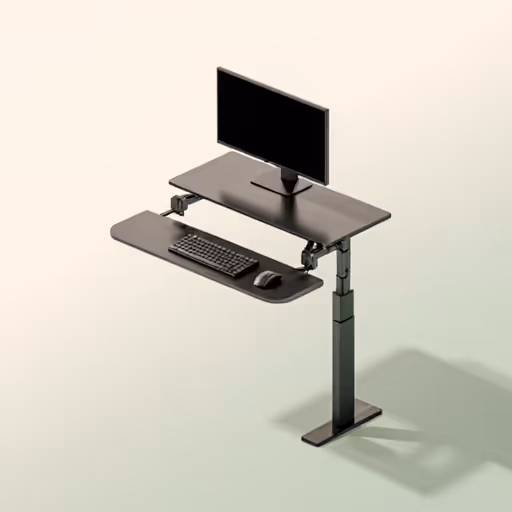 Ergonomic Workstations & Hardware