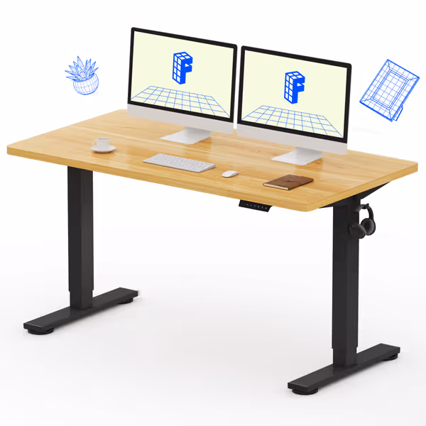 FLEXISPOT EN1 Electric Standing Desk